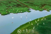 江苏发布2025年第1号总林长令全面加强鸟类保护