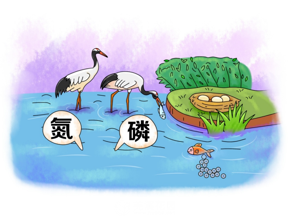 微信图片_20250326180326.png