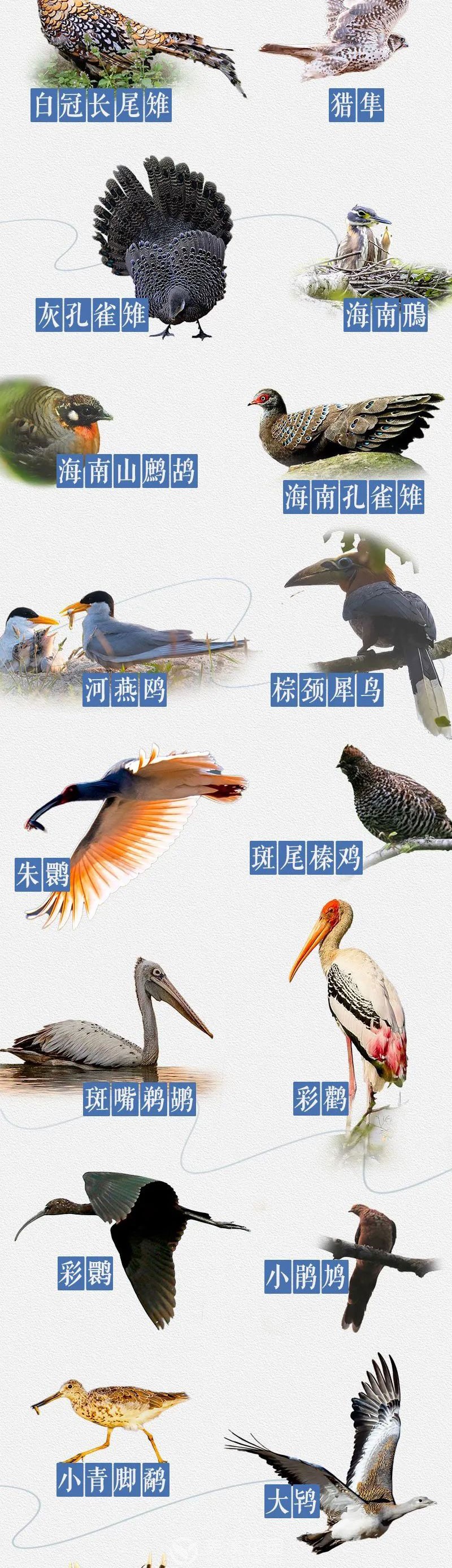 微信图片_20250907105649_03.jpg