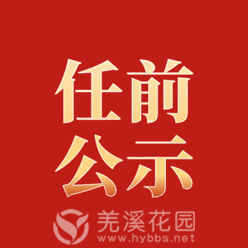 任前公示.png