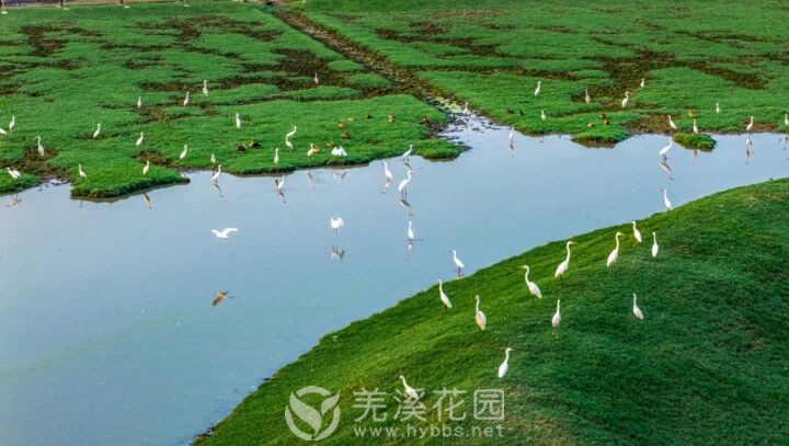 微信图片_20250928181808.jpg