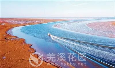 微信图片_20251020183749.jpg
