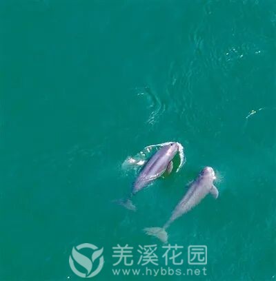 微信图片_20251020183756.jpg