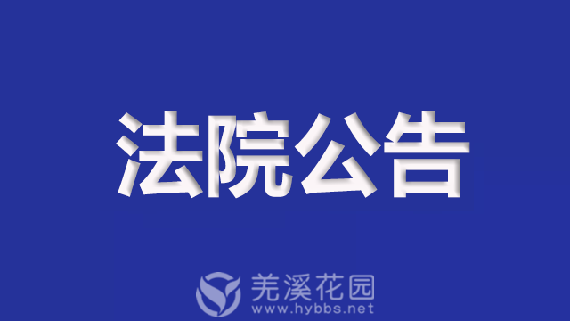 法院公告.png
